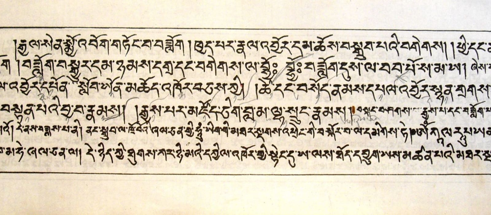A close-up of traditional Tibetan handwriting on parchment.
